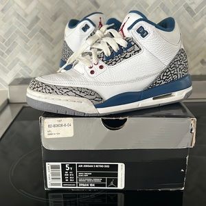 Jordan true blue retro 3s
